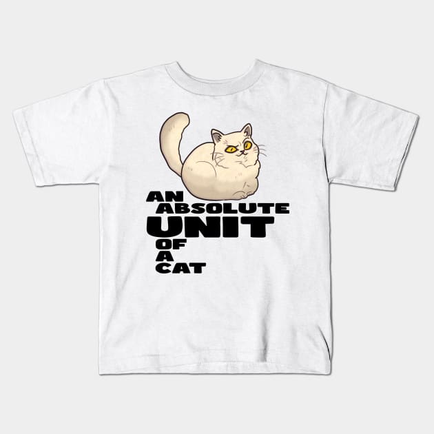 AN ABSOLUTE UNIT OF A CAT Kids T-Shirt by KO-of-the-self